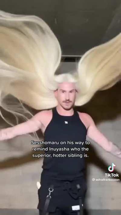 Sesshoumaru was always the superior brother