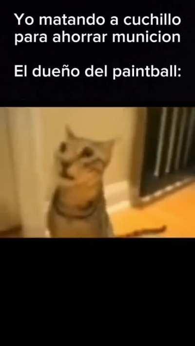 BeelcitosMemes - Video #2826