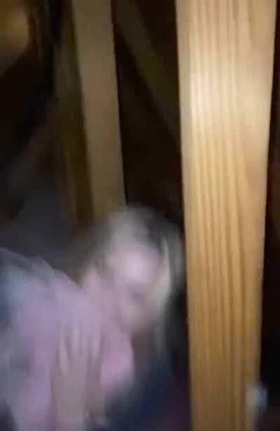 Her putting the insulation in her mouth just makes me feel uncomfortable