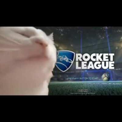 Cat vibes to RL title theme ALL I NEED ( original post on Twitter / Cat Vibes To )