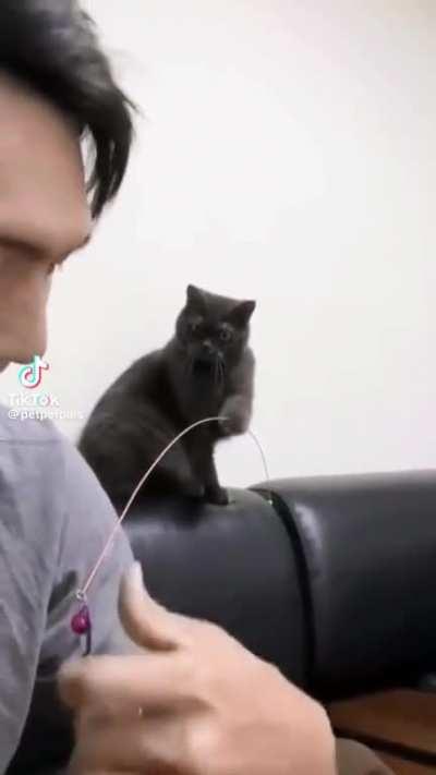 Derp has turned the tables playing with derp daddy