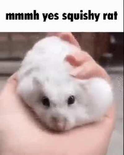 What a Satisfying gif