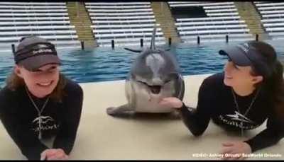 No... no... my blow hole