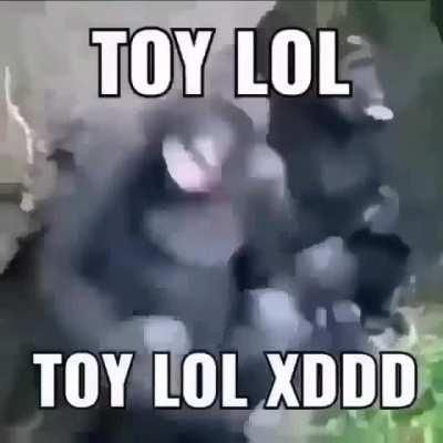 TOY LOL XDDDD
