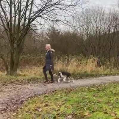 Got a case of the hops