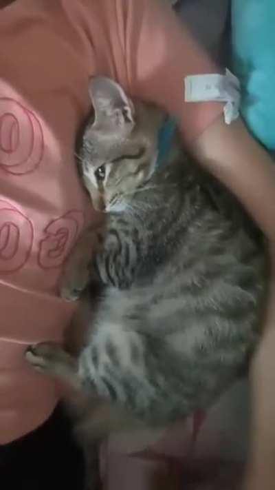 Yeah it's been a long day, imma take a rest, don't bother me