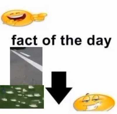 fact of the day