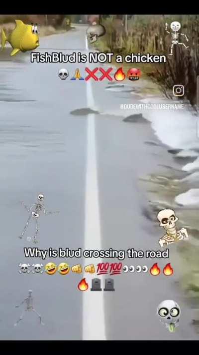 I love Instagram reels 