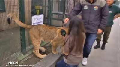 Just Gimme a Hug and Lip Kiss