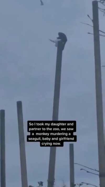 As a sign to the others