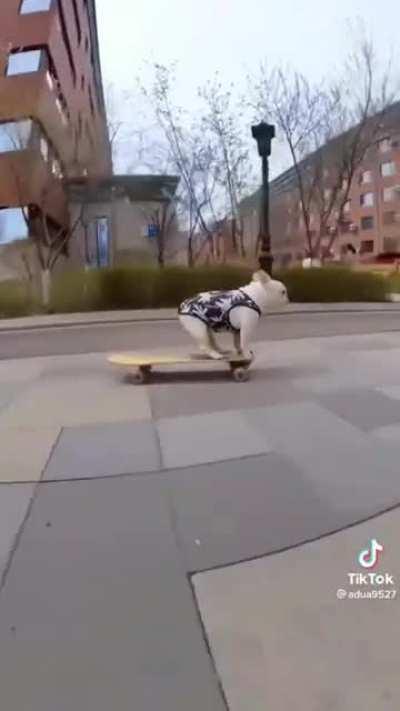 This little guy skateboards better than me