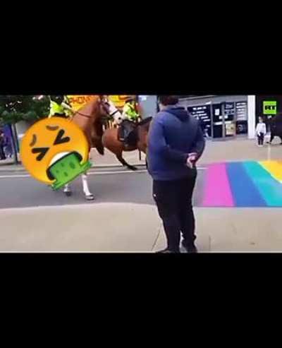 Even Animals hate the Rainbow🌈