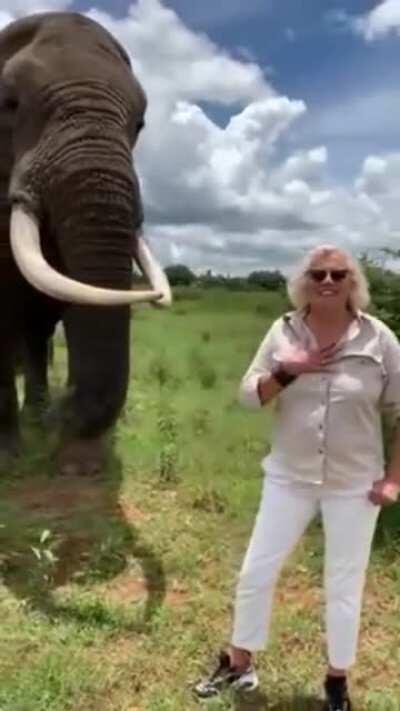 'Can I have it?' 'Oh, you want it back? Ok'