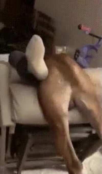 I'm still your lapdog!