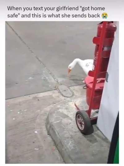 They're watching you in the dark...