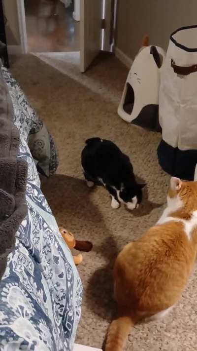 Jack and his air taps,lol.