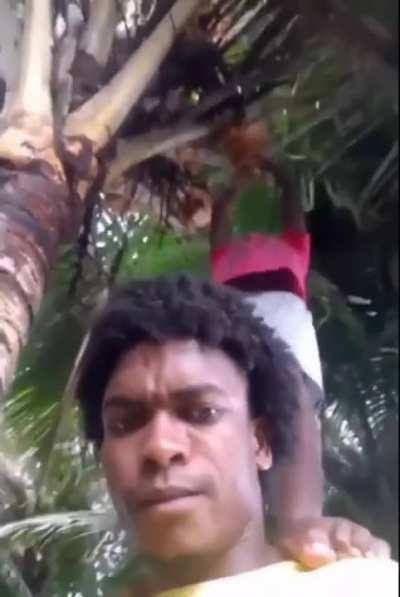 WCGW cutting a coconut