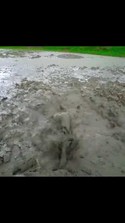 I literally just opened the app...