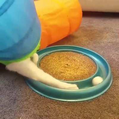 ball taps while stuck in a tent