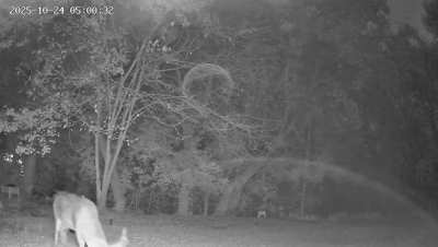 SE Michigan Residential Neighborhood