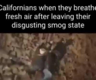 Ok Vladimir here’s your based shit