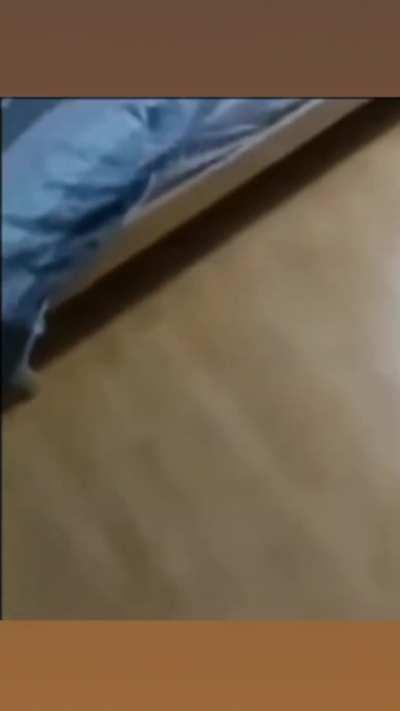 Friendly remind to check under your bed at night