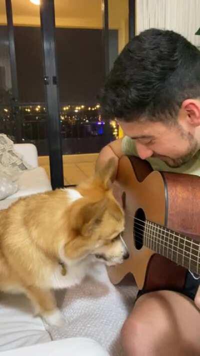 Teaching Achilles guitar. He’s a quick learner 🥰