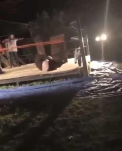 And the Winner is ...