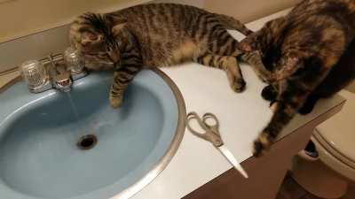 I promise I supervised the whole time!