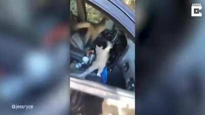 We’ve been spotted boys