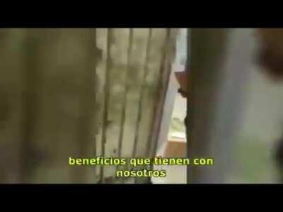 MORENA es lo que merecemos? Esta es nuestra última oportunidad para impedir que el gobierno de AMLO se convierta en dictadura!