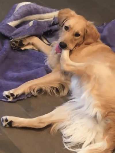 Year 4, Day 229 - Snack Chomp