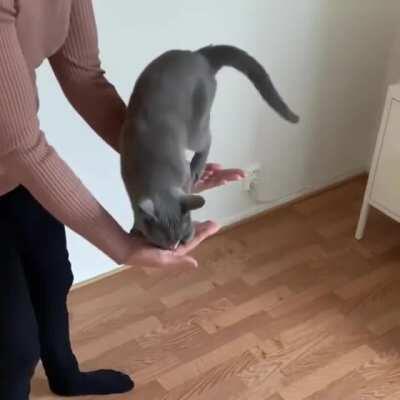 Yes caty you make it perfect