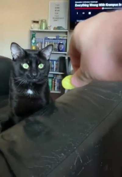 He’ll pass on the pickle