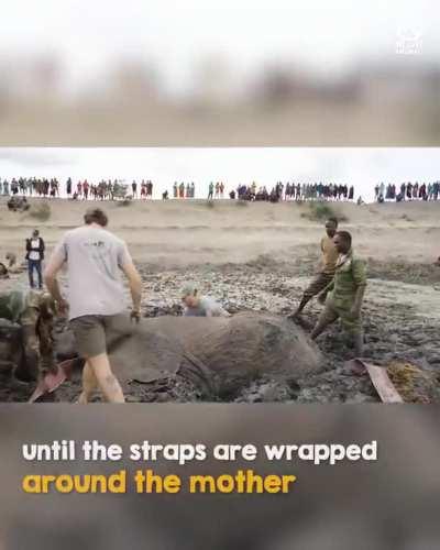 bro, love and respect to you! 🫂