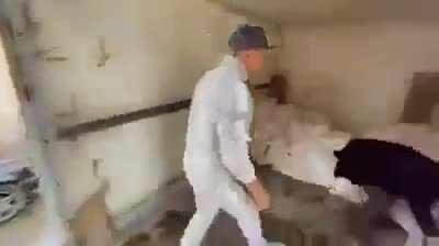 One student in every group project: