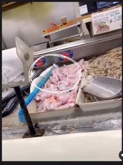 Probably the nerves right ??