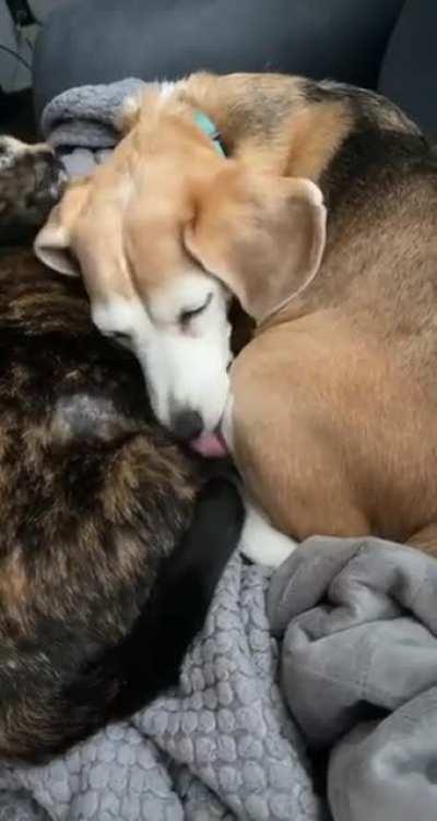 Lucy and Phoenix just being the best of pals