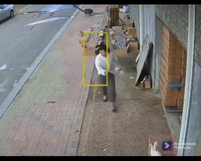 Ataque de animal selvagem