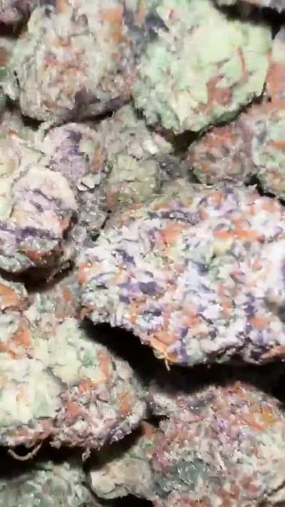 Alien Labs Kryptochronic 👽