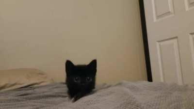 does anyone know where this is from?