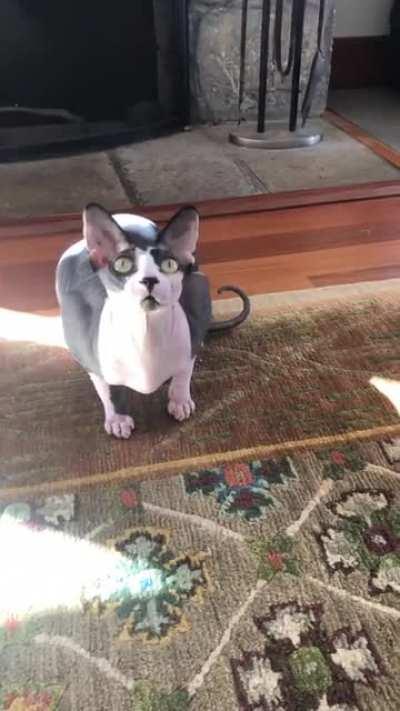 Her training activated