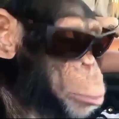 Behold, the Supreme leader of swag 😎