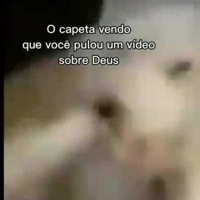 Orochisegundo - Video #0373