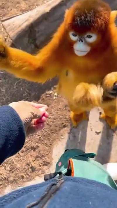 They think these goodies are endless, just look at their eyes when they don't share with them