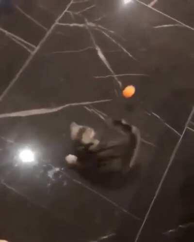 Calc.. calc.. stop! I’m calculating!