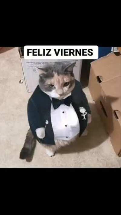Cuando por fin es viernes con Carola y los memes en Reddit