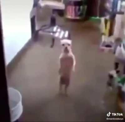 Upvote for jakertown to see