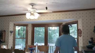 Как словить пончик