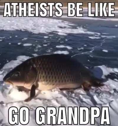 Atheists🤢🤢🤢🤮🤮🤮🤮